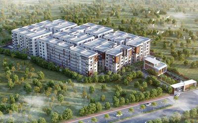 3 BHK Apartment