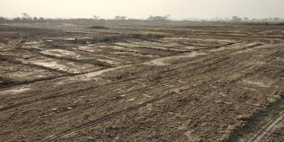 1000 Sq.ft Residential Plot for Sale in Eldeco II, Lucknow