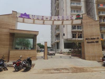 3 BHK Apartment