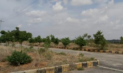 Gallery Cover Image of Sq.ft Residential Plot for buy in Shamirpet for 3458000