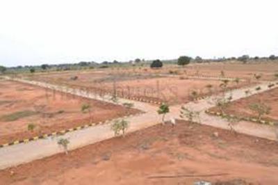 Residential Plot