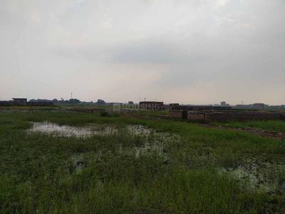 1200 Sq.ft Residential Plot for Sale in Ranipur, Patna