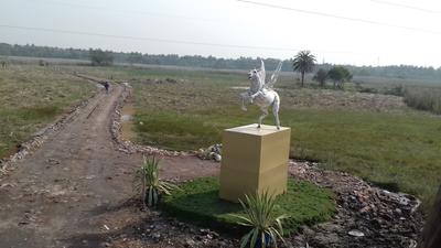 Gallery Cover Image of Sq.ft Residential Plot for buy in Bara Gagan Gohalia for 399000
