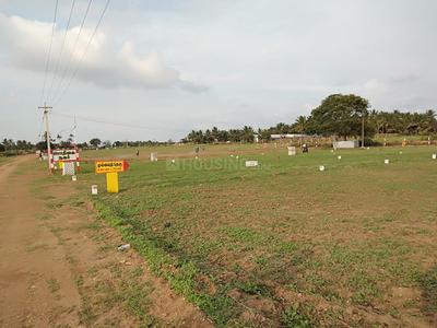 Residential Plot
