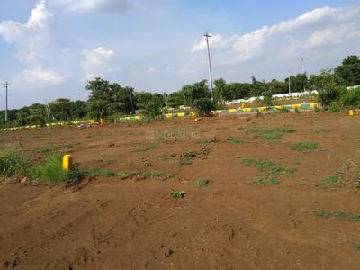 Residential Plot