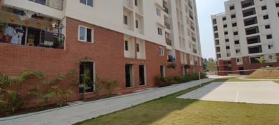 3 BHK Flat