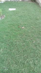 Gallery Cover Image of Sq.ft Residential Plot for buy in Sector 85 for 9000000