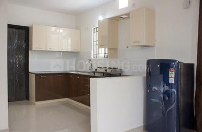 Kitchen Image of Villa 142 - Concorde Cupertino in Electronic City