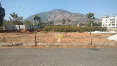 Residential Plot
