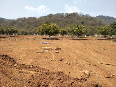 Residential Plot