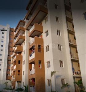 3 BHK Apartment