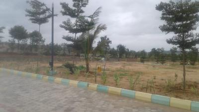 Residential Plot