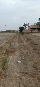5000 Sq.ft Residential Plot for Sale in Sherpur , Faridabad
