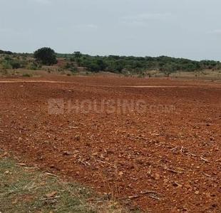 Gallery Cover Image of Sq.ft Residential Plot for buy in Maheshwaram for 16000000