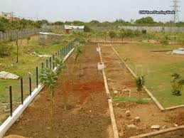 Gallery Cover Image of Sq.ft Residential Plot for buy in Oragadam for 4150000