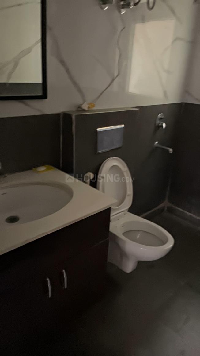 AIG Aigin Royal - Image 14