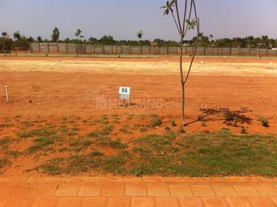 Residential Plot