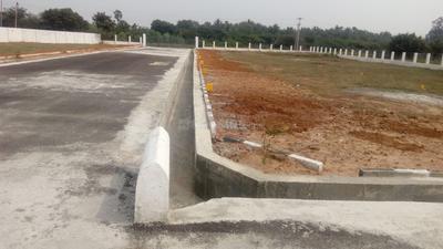 Residential Plot