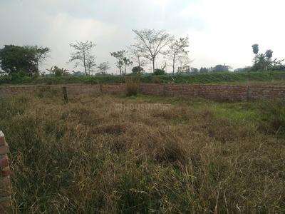 Residential Plot