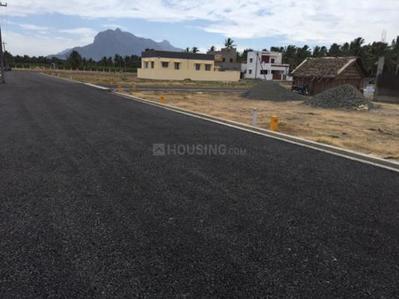 Residential Plot