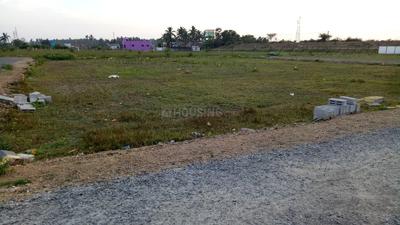 Residential Plot