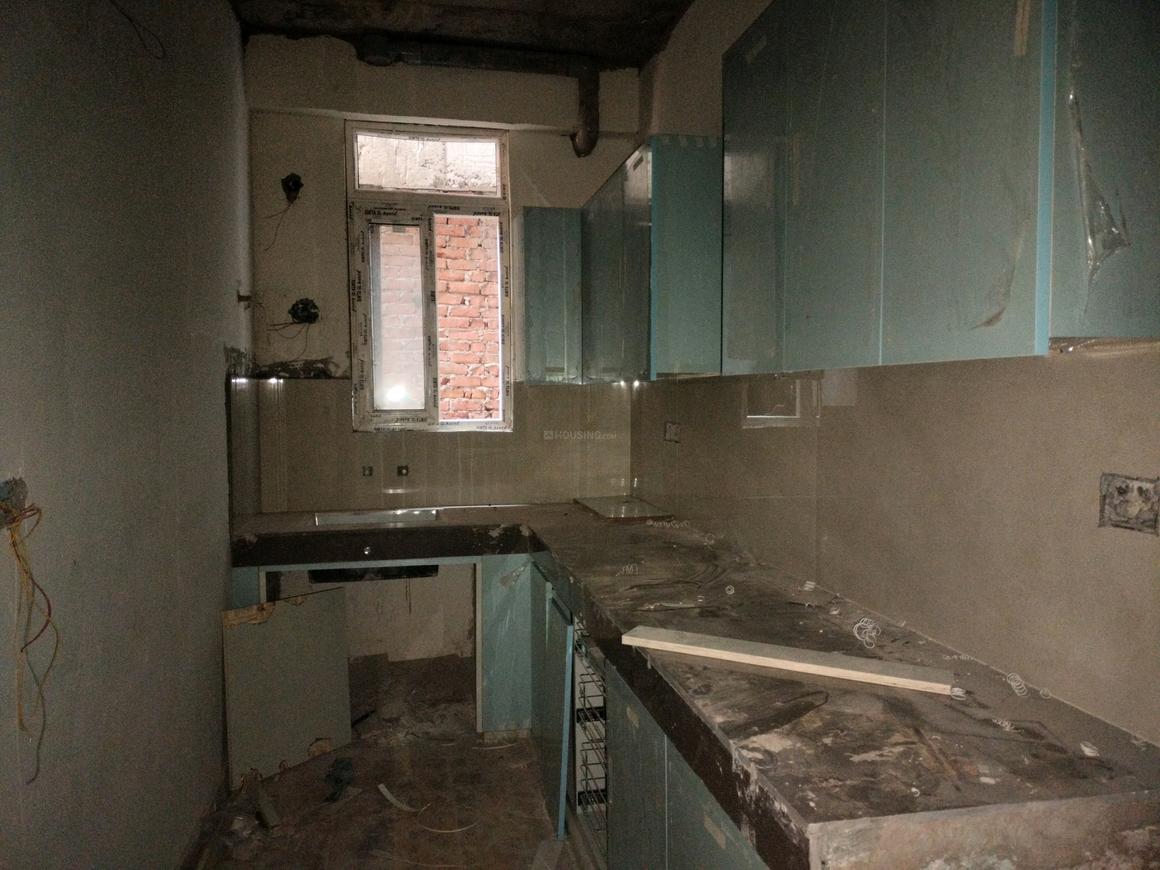 Marshal City Shine - Image 15