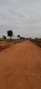 Gallery Cover Image of Sq.ft Residential Plot for buy in Tukkuguda for 3240000