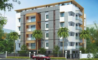 3 BHK Apartment