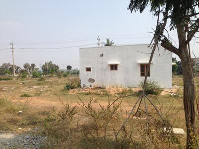 Residential Plot
