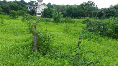 Gallery Cover Image of Sq.ft Residential Plot for buy in Khar West for 11000000