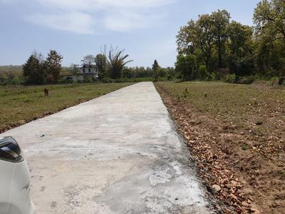 Residential Plot