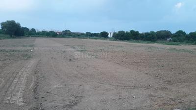 Gallery Cover Image of Sq.ft Residential Plot for buy in Neharpar Faridabad for 4100000