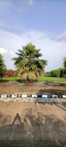 1100 Sq.ft Residential Plot for Sale in Palakhedi, Indore