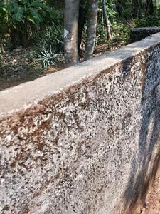 5400 Sq.ft Residential Plot for Sale in Kavu Nagar, Kozhikode