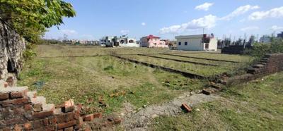 Residential Plot
