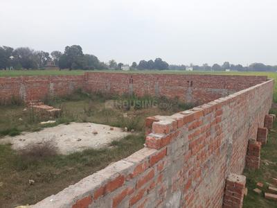 Gallery Cover Image of Sq.ft Residential Plot for buy in Phaphamau for 1800000
