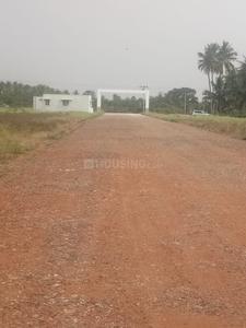 Residential Plot