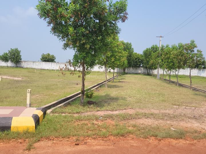 Residential 1980 Sqft Plot for sale at Turangi, Kakinada Property ID 12834385