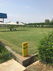 Residential Plot