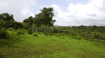 Gallery Cover Image of 1000 Sq.ft Residential Plot for buy in Nere for 2300000