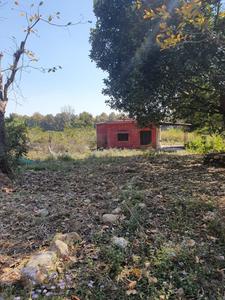 10000 Sq.ft Residential Plot for Sale in Chironwali, Dehradun