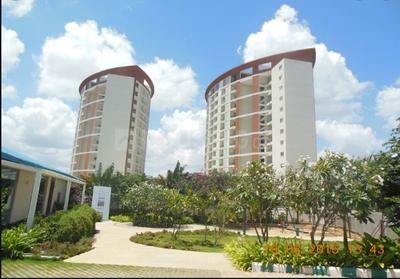 3 BHK Apartment