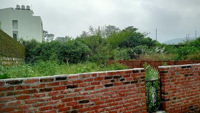 1590 Sq.ft Residential Plot for Sale in Kishanpur, Dehradun