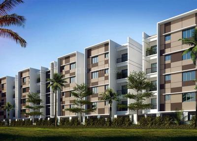 3 BHK Apartment