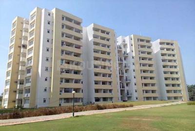 3 BHK Apartment