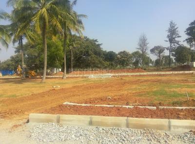 Residential Plot