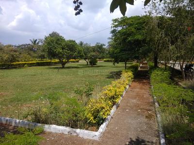 Residential Plot