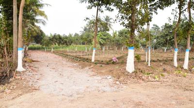 Gallery Cover Image of Sq.ft Residential Plot for buy in Bhatpara for 820000