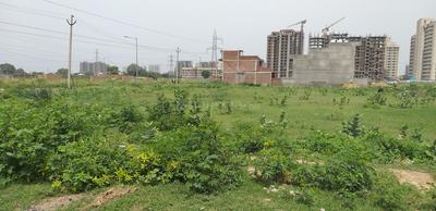 Residential Plot