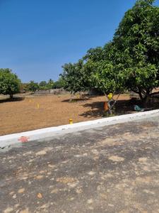 Residential Plot